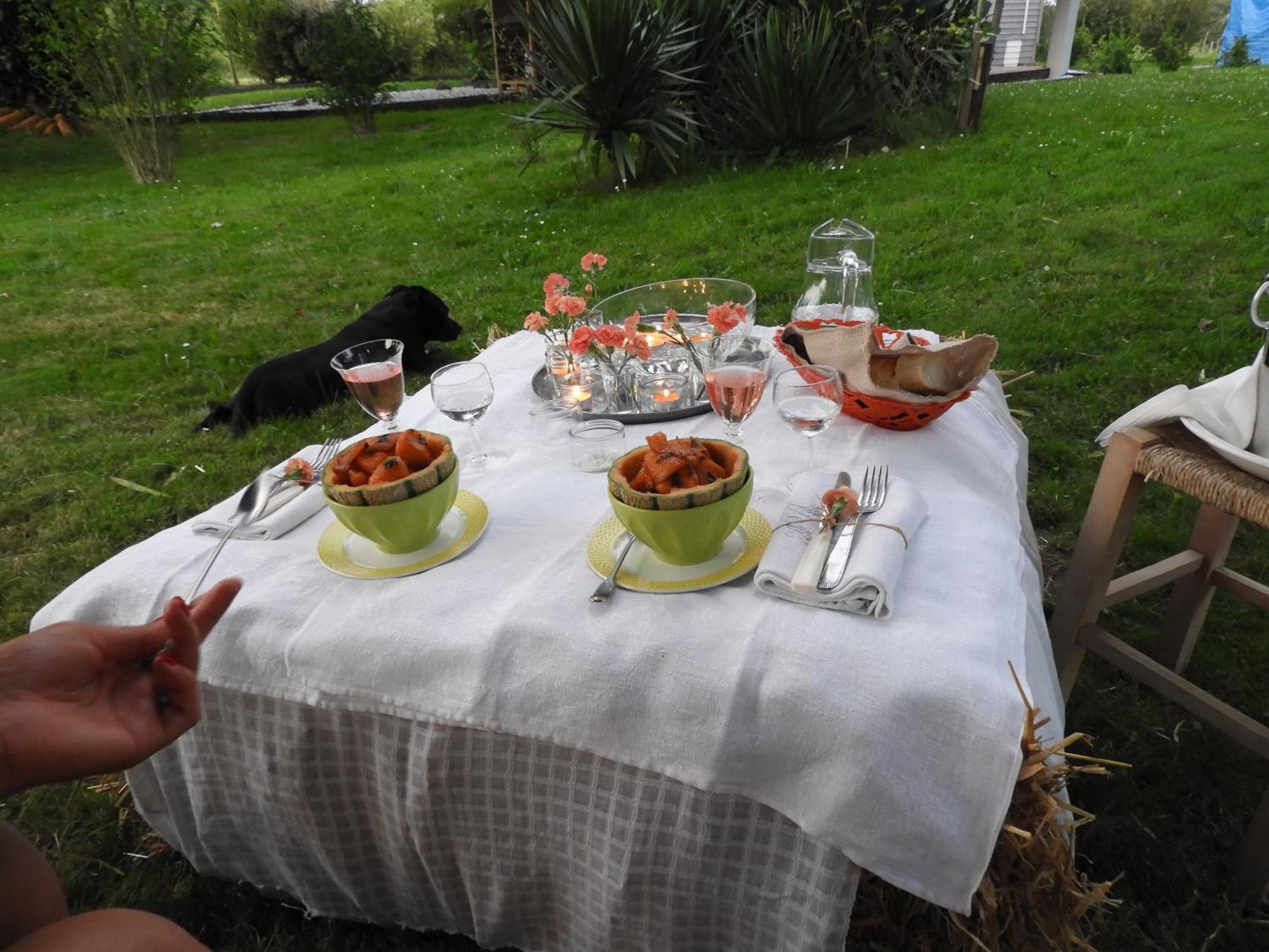 Tente Safari Lodge Dans Foret Luxuriante Vielle-Tursan 외부 사진